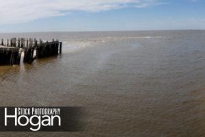 Delaware Bay Fortescue Tidal Stream panorama