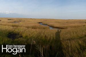 Great Bay Blvd Sunset, Panorama 2