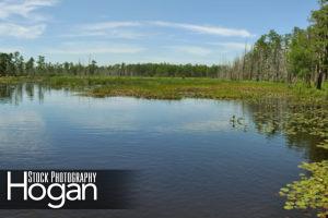 Hampton Road Pond panorama