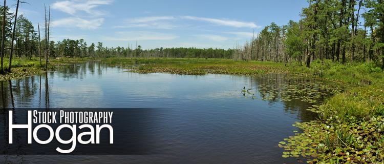Hampton Road Pond panorama