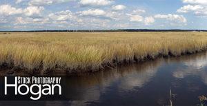McNamara Wildlife Area, fall,panorama