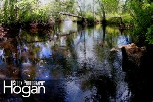 Mullica River below Beaver Pond, Panorama