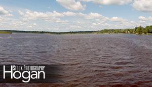 Mullica River From Lower Bank Bridge, Panorama