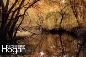 nescochague creek fall NJ Pine Barens