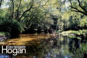 Reflections Great Egg Harbor River NJ Pine Barrens